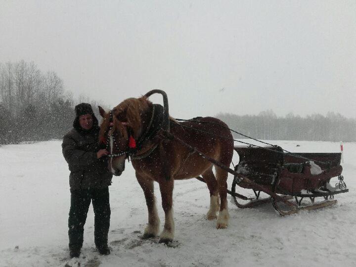 Dom Na Wsi ,, Koszelowka " Koszele  Exterior foto
